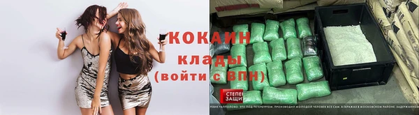 индика Лиски