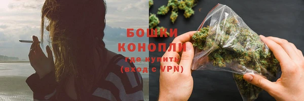 индика Лиски