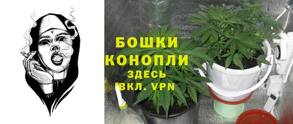 индика Лиски